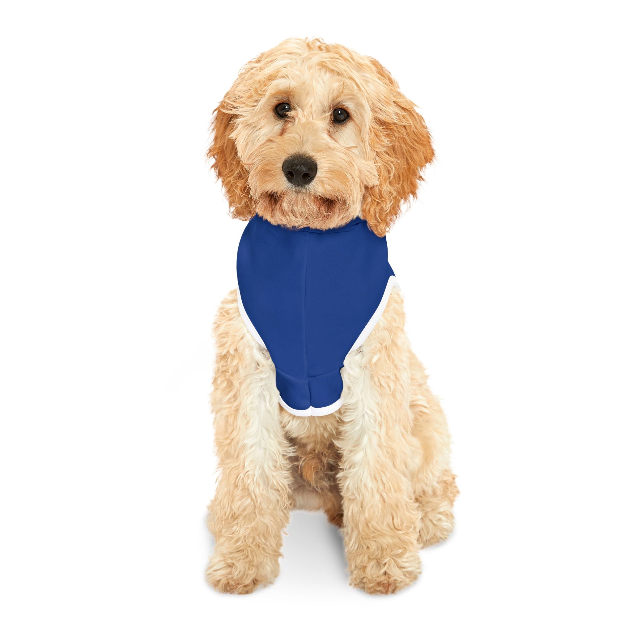 Blue Pet Hoodie with Gold 'AV’ Star Logo – Small Dog & Cat Sweatshirt