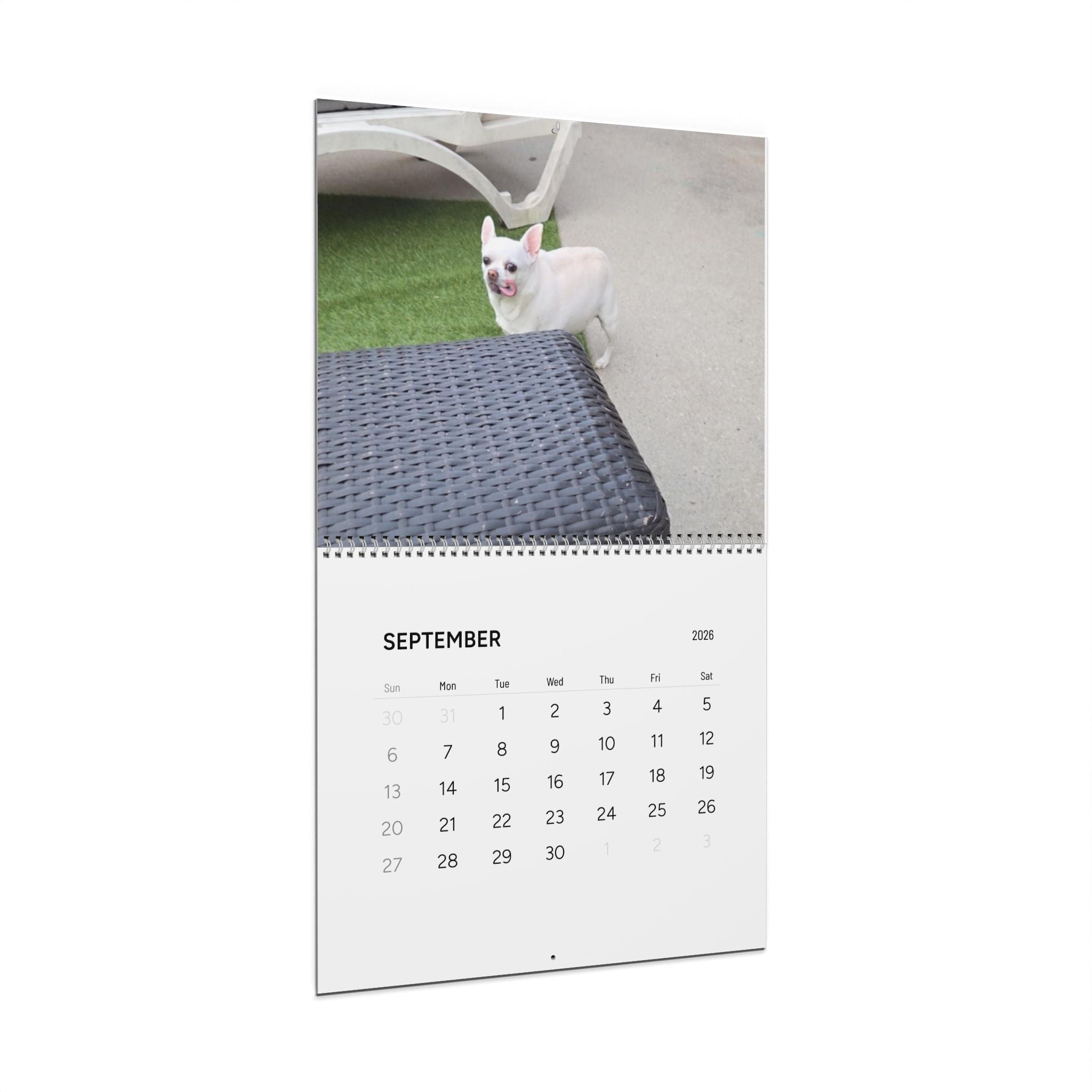 2026 Cool Snoopy Wall Calendar — Funny Sunglasses Animal Calendar